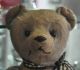 Liebenswerter Abgeliebter Vorkriegsbär Mit Langen Armen Und Buckel Sucht Zuhause Stofftiere & Teddybären Bild 1