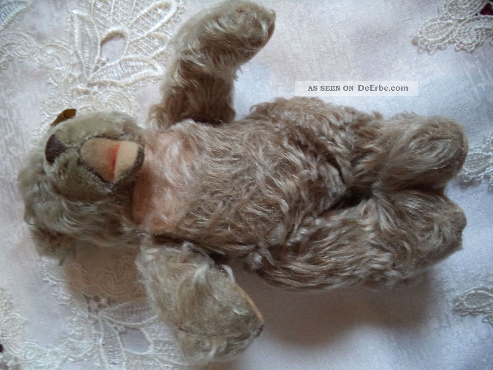 Alter,  Kleiner Zotty - Bär Von Steiff Steiff Bild