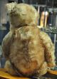 Liebenswerter Sehr Grosser Teddybär Der 50er Jahre Sucht Ein Neues Zuhause Stofftiere & Teddybären Bild 3