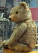 Liebenswerter Sehr Grosser Teddybär Der 50er Jahre Sucht Ein Neues Zuhause Stofftiere & Teddybären Bild 4