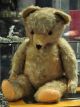 Liebenswerter Sehr Grosser Teddybär Der 50er Jahre Sucht Ein Neues Zuhause Stofftiere & Teddybären Bild 5