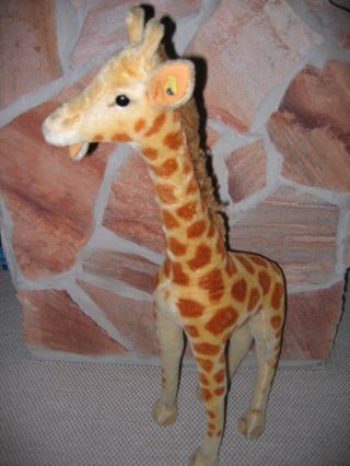 Steif Giraffe 78 Cm Sammlerstück Mit Knopf Und Fahne - Bild