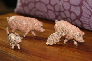 Schweine Familie,  4 Stück,  Elastolin,  Rar,  Natur,  Figur,  Tiere Bild