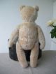 Alter Teddy BÄr,  Hermann,  Mohair,  52 Cm,  1950er Jahre Stofftiere & Teddybären Bild 7