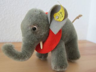 Steiff Elefant Alt Mit Knopf Decke Schild 0500/10 Bild