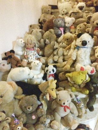 70 Teile Und Mehr Stofftiere Teddybären Konvolut Hermann Hund Und Steiff Teddy Bild