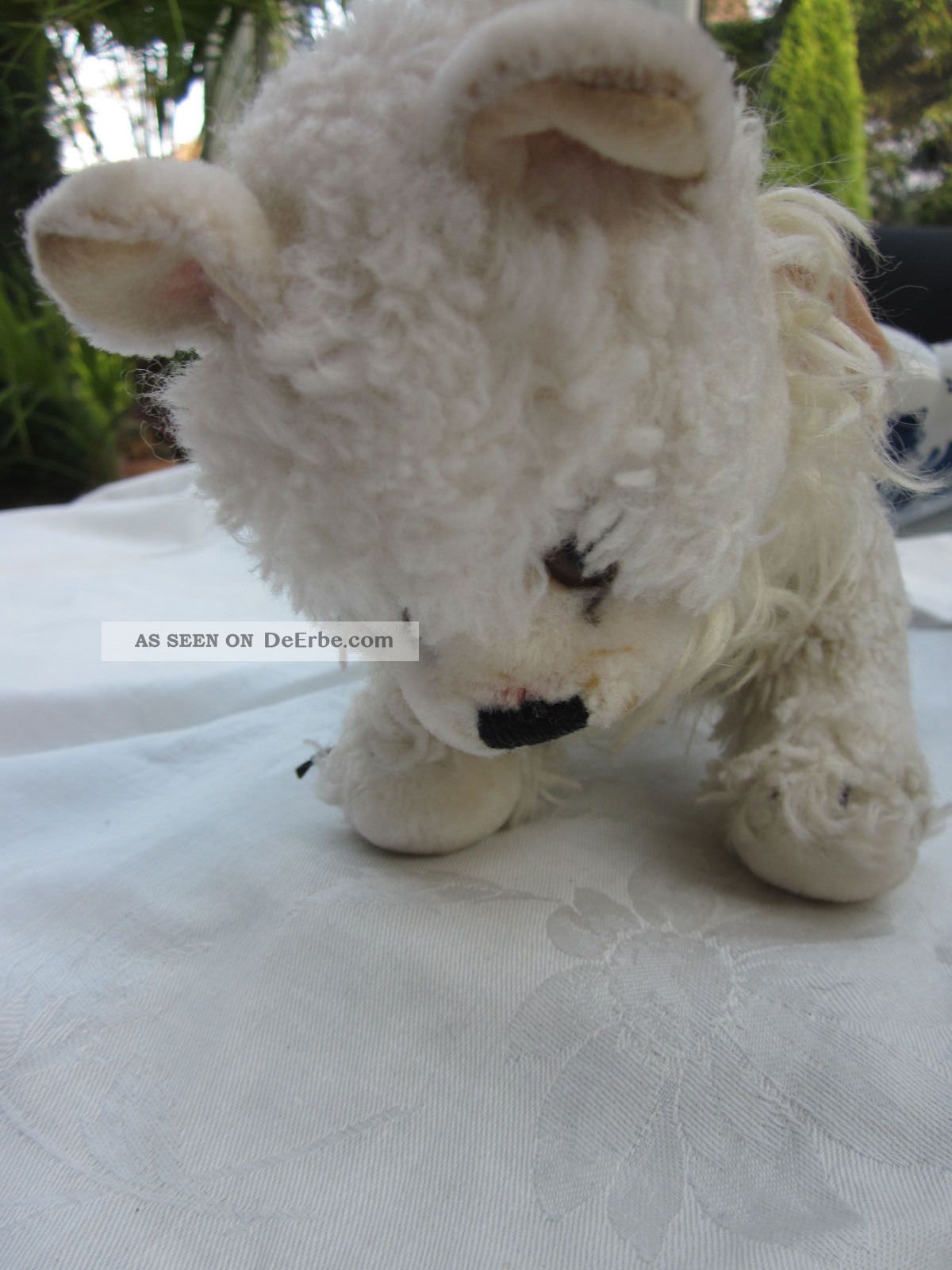 Steiff Hund Spitz Cosy 60 Er Jahre Dog Tiere Bild