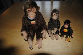 Steiff Knopf Im Ohr - Affenfamilie Jocko - 3 Stück - Alt - Gut Bild