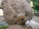 Großer,  Sehr Alter Teddy,  Teddybär,  Bär Mit Brummstimme,  Imposant Stofftiere & Teddybären Bild 4