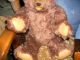 Fröhlicher,  50cm Großer,  Alter Teddybär - Zotty - Typ Aus Den 60ziger Jahren Stofftiere & Teddybären Bild 5