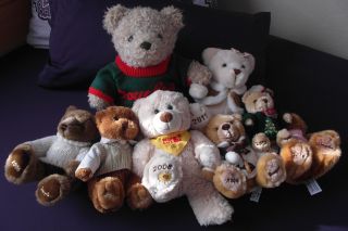 8 Teddybären Douglas Bild