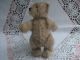 Alter Teddy Teddybär Ohne Krallen Ohne Knopf Steiff?glasaugen Gestick.  Nase 14cm Stofftiere & Teddybären Bild 1