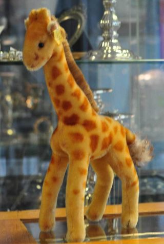 Süsse Steiff Giraffe Aus Den 60ern Sucht Neues Zuhause Bild
