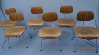 6 X Stühle Se 68 Wilde & Spieth Eiermann Buche Chrom Originale 50er/ 60er Jahre Bild