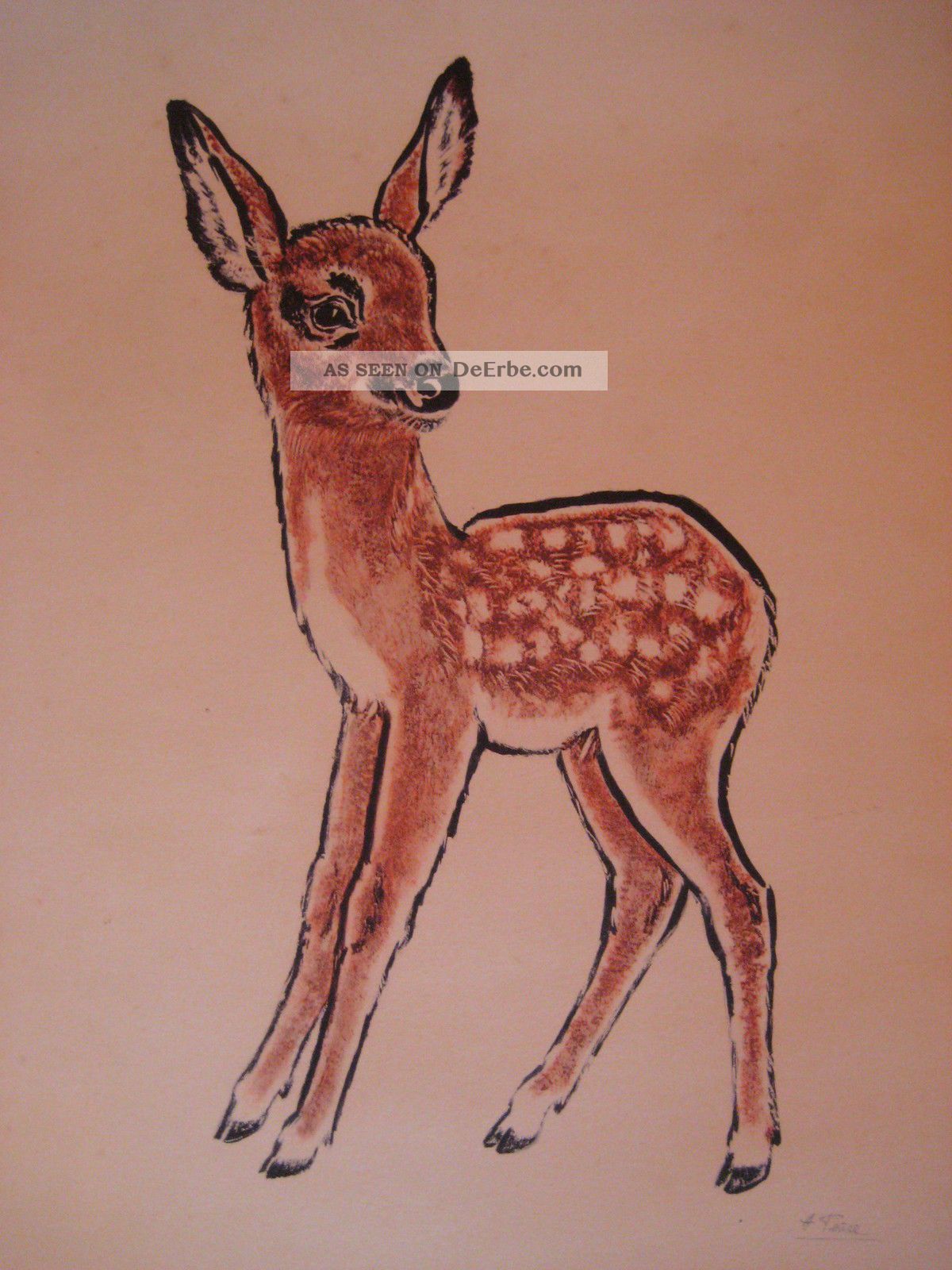 Bild Blatt Bogen Druck Rehkitz Bambi Signiert Hertha Peuse 1950 Ohne Rahmen 1950-1959 Bild