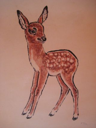 Bild Blatt Bogen Druck Rehkitz Bambi Signiert Hertha Peuse 1950 Ohne Rahmen Bild