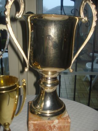 3 X Große Pokale Polo,  Mit Marmorsockel,  Vintage Bild