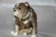 Frühe,  Seltene Keramos Figur,  Englische Bulldogge,  20er Jahre Wiener Kunst /kwk Nach Form & Funktion Bild 6