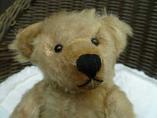 Teddy Antik 30 Cm Dunkelweiß Scheibengelenke Schwarze Augen Holzwolle Bild