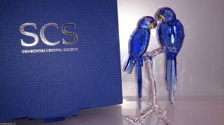 Swarovski Scs 2014 Hyacinth Aras Macaws 5004730 Bild