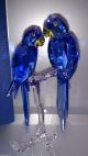 Swarovski Scs 2014 Hyacinth Aras Macaws 5004730 Glas & Kristall Bild 1