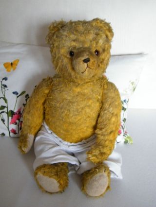 Alter Bär / Teddybär Bild