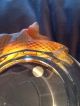 Lalique Schlangenschale Top Sammlerglas Bild 4