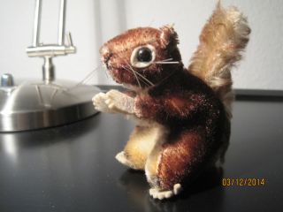 Steiff - Eichhörnchen - 10 Cm - Ca 45 Jahre Alt Bild