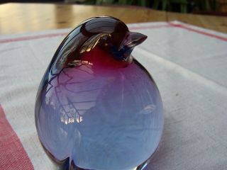 Gral Glas Pinguin Murano Bild