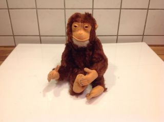 Sehr Alter Steiff Affe Schimpanse Jocko,  Antik Bild