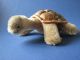 Steiff Schildkröte Turtle - 14cm Tiere Bild 6