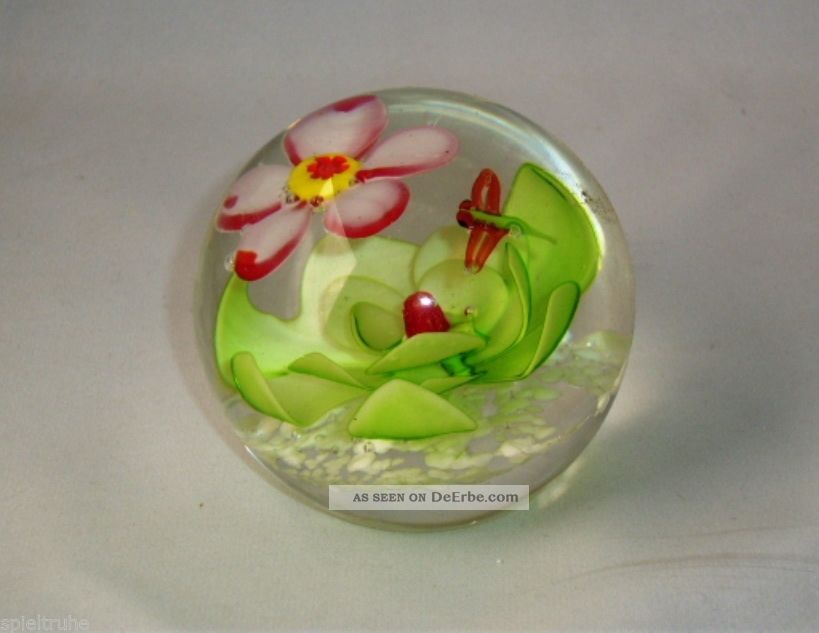 Paperweight Briefbeschwerer Glaskunst Blume BlÜte Mit Insekt Dekorglas Bild