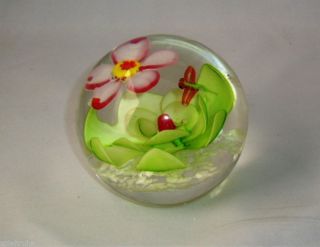 Paperweight Briefbeschwerer Glaskunst Blume BlÜte Mit Insekt Bild