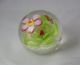 Paperweight Briefbeschwerer Glaskunst Blume BlÜte Mit Insekt Dekorglas Bild 1