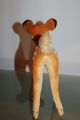 Steiff Bambi Alter Knopf,  Schild Und Fahne Nr.  7422,  00 Ca.  50er/60er Tiere Bild 3