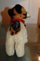 Großer Steiff Hund Bully Bulldogge Knopf,  Schild Und Fahne Nr.  1317/00 Tiere Bild 4