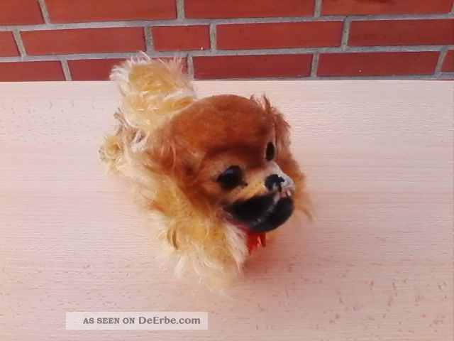 Steiff Hund 17cm Peky Pekinese Mohair Stofftier Knopf & Schild Tiere Bild