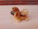 Steiff Hund 17cm Peky Pekinese Mohair Stofftier Knopf & Schild Tiere Bild 1