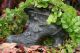 Blumentopf,  Pflanzgefäß,  Viktorianischer Stiefel,  Steinfigur Patiniert Steinguss Nostalgie- & Neuware Bild 11