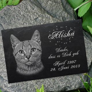 Grabstein Tiergrabstein Grabplatte Katzen Katze - 007 Wunschgravur ◄ 30 X 20 Cm Bild
