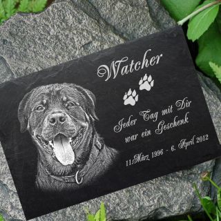 Grabstein Tiergrabstein Gedenkstein Hunde Hund - 016 Fotogravur ◄ 20 X 15 Cm Bild