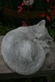 Schlafende Katze,  Steinfigur Frostfest,  Steinguss,  Katzen Nostalgie- & Neuware Bild 4