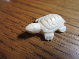 Nachlass Rar Alter Glücksbringer Die Schildkröte Aus Echtem Bein Gefertigt Bild
