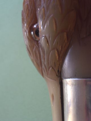 Art Deco Spazierstock Mit Geschnitzter Ente Aus Horn / Glausaugen / 800 Silber Bild
