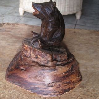 Antiker,  Kleiner Brienzer Holzbär Auf Baumsockel Sitzend,  Mit Glasaugen Bild