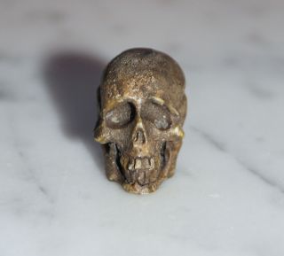 Totenkopf Bein Geschnitzt - 19.  Jahrhundert - Memento Mori,  Skull (3021) Bild