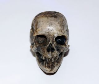 Totenkopf Bein Geschnitzt - 18.  /19.  Jahrhundert - Memento Mori,  Skull (2962) Bild