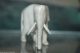 Alte Beinschnitzerei Asiatischer Elefant 6cm Bein Schnitzerei 5 Beinarbeiten Bild 1