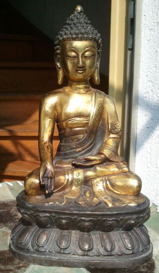 Amitabha Buddha Status Bronze 3 Kg Asiatica Tibet China 20.  Jhht Bild