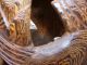 Elfenbeinküste Antike Trommel Afrikanische Holzschnitzerei Geschnitzt Handarbeit Entstehungszeit nach 1945 Bild 8